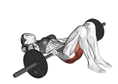Barbell Glute Bridge demonstration