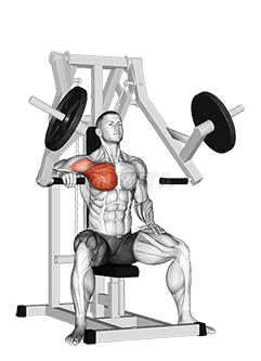 Lever One Arm Chest Press demonstration