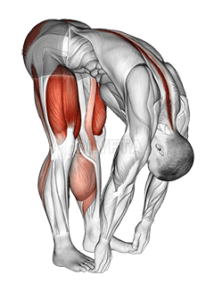 Squat mobility Complex demonstration