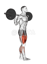 Barbell Walk Calves Activation demonstration