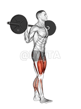 Barbell Walk Calves Activation demonstration