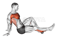 Rollball Seated Single Leg Shoulder Flexor Depresor Retractor demonstration