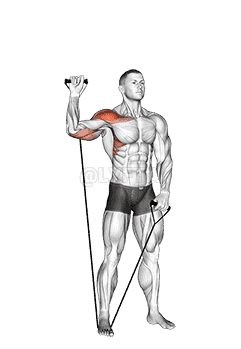 Band Single Arm Shoulder Press demonstration