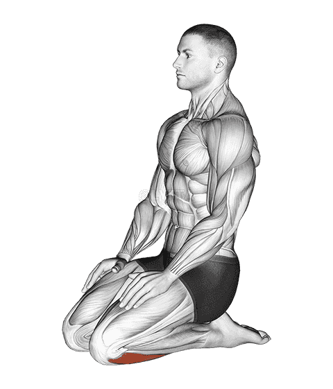 Seated Ankle Stretch demonstration