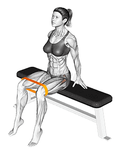 Resistance Band Seated Hip Abduction demonstration