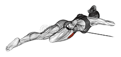 Band Lying Hip Internal Rotation demonstration