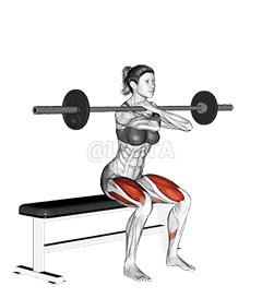 Barbell Bench Front Squat demonstration