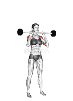 Barbell Standing Close Grip Military Press demonstration