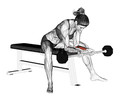 Barbell Wrist Curl demonstration
