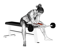 Barbell Wrist Curl demonstration