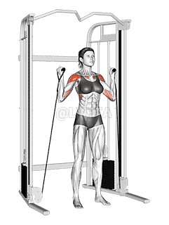 Cable Alternate Shoulder Press demonstration