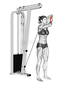 Cable Alternate Triceps Extension demonstration
