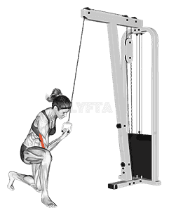 Cable Concentration Extension demonstration