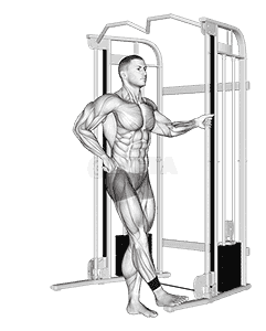 Cable hip abduction demonstration