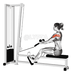 Cable Rear Delt Row demonstration
