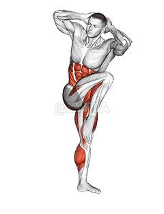 High Knee Squat demonstration