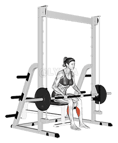 Smith Toe Raise demonstration