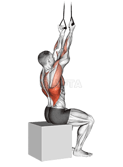 Band Fixed Back Underhand Pulldown demonstration