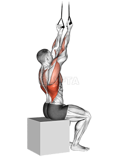 Band Fixed Back Underhand Pulldown demonstration