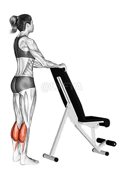 Standing Calf Raise with Support demonstration