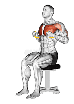 Resistance Band Seated Chest Press demonstration