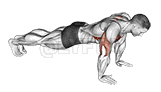Push-Up Plus demonstration