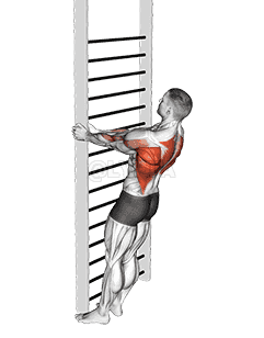 Bodyweight Standing Close-grip Row demonstration