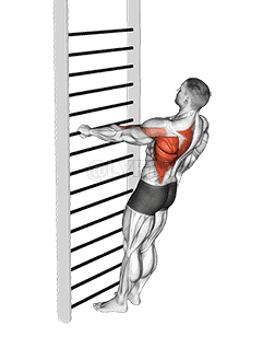 Bodyweight Standing One Arm Row demonstration