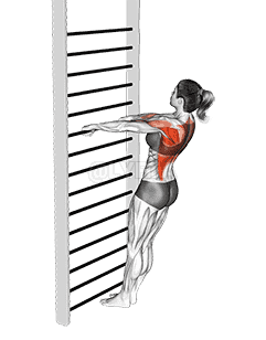 Bodyweight Standing Row demonstration