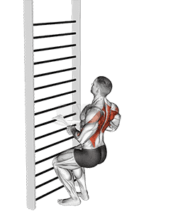 Bodyweight Squatting Row demonstration