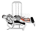Lever Lying Two-One Leg Curl demonstration