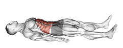 Quarter Sit-up demonstration