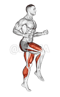 Half Knee Bends demonstration