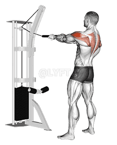 Cable Standing Rear Delt Horizontal Row demonstration