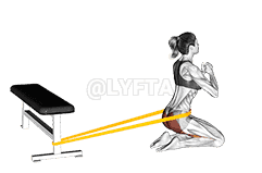 Resistance Band Hip Thrusts on Knees demonstration
