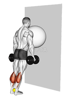 Exercise Ball on the Wall Calf Raise demonstration