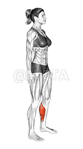 Feet and Ankles Side to Side Stretch demonstration