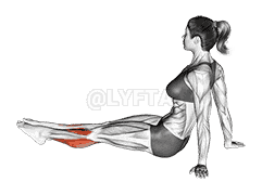 Feet and Ankles Stretch demonstration