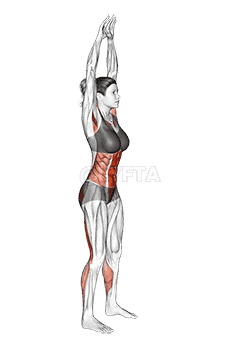 Front Toe Touching demonstration