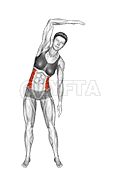 Standing Two Side Bend demonstration