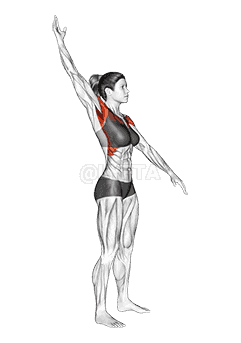 Standing Alternate Arms Circling demonstration