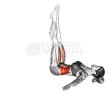 Lying Leg Raise to Side demonstration