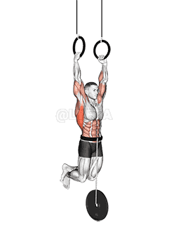 Weighted Muscle up demonstration