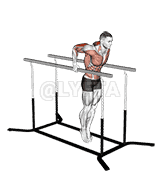 Elbow dips demonstration