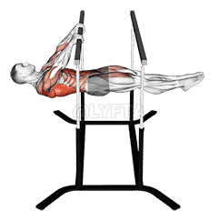 Front Lever Reps demonstration