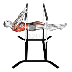 Front Lever Reps demonstration