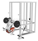 Barbell Weighted Front Chest Squat demonstration