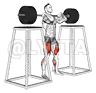 Barbell Front Squat demonstration