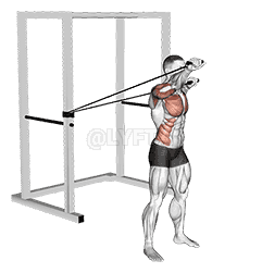 Band Alternate Incline Chest Press with Twist demonstration