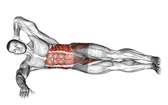 Oblique Crunches with Straight Leg Lift demonstration